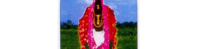 77. திருவித்துவக்கோடு 